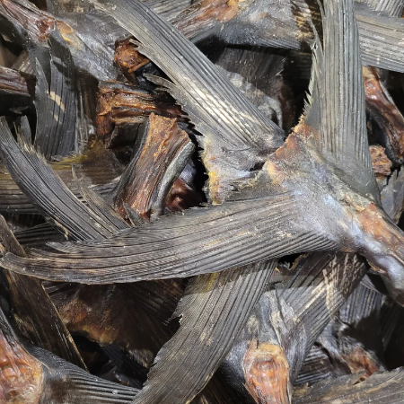 Dried Tuna Tail 1kg