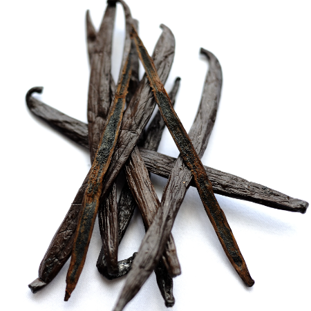Vanilla Pod 1nos