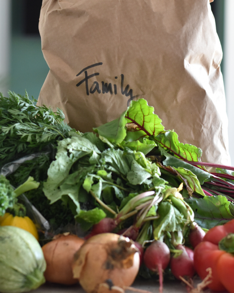 Family Sized Organic Seasonal Vegetable Bag 
