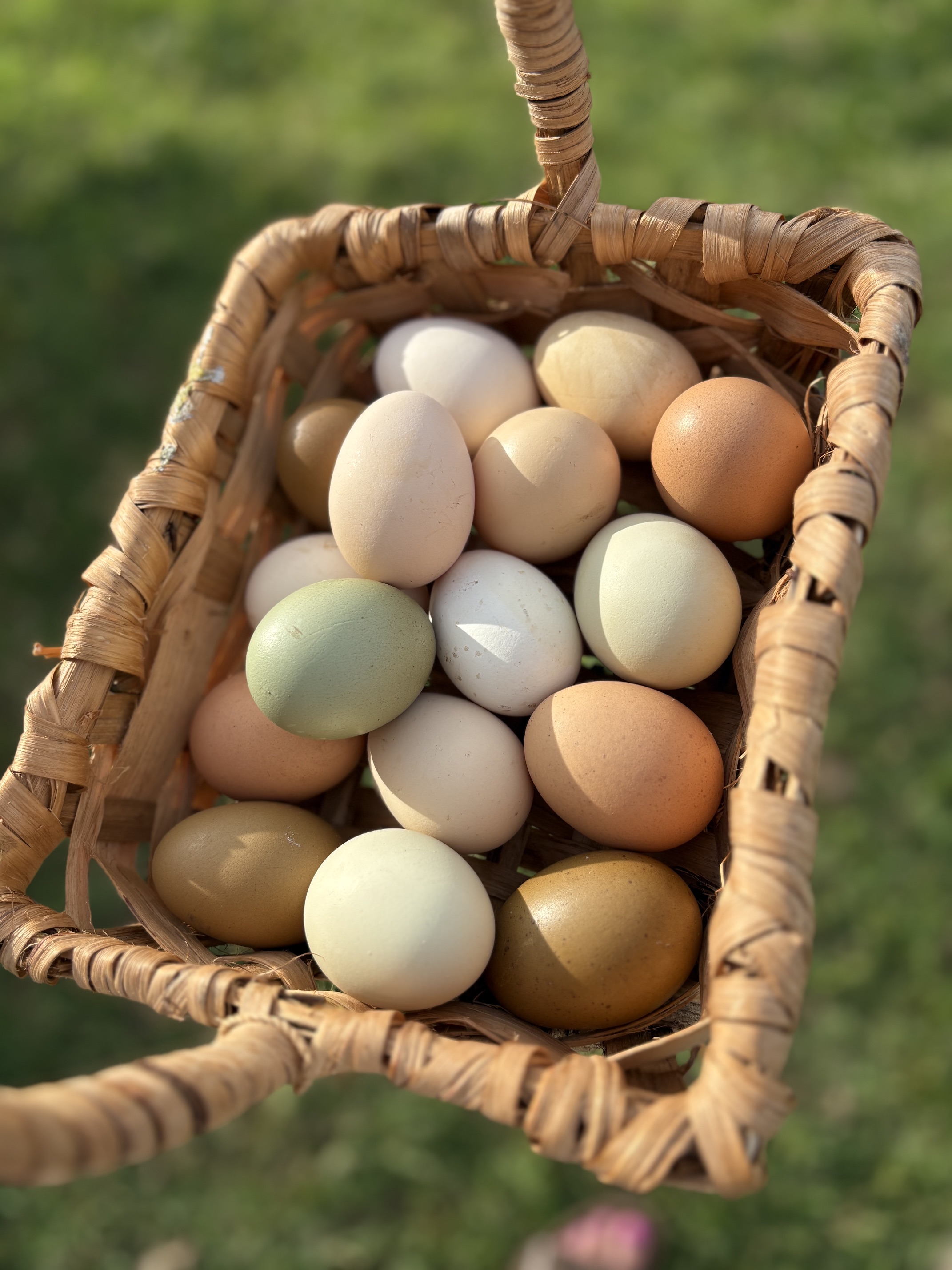 Deja-Moo Pasture-Raised Eggs