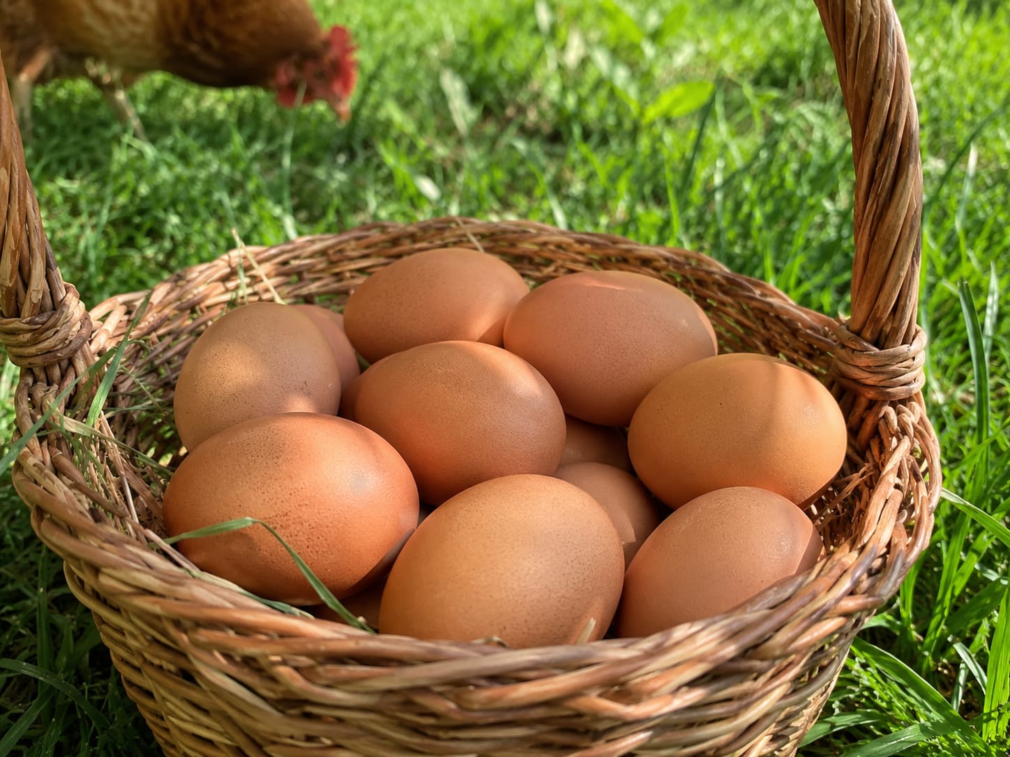 Happy Hens Pasture Raised Eggs - Dozen
